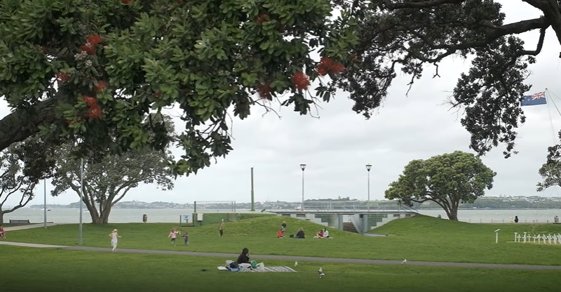 devonport auckland