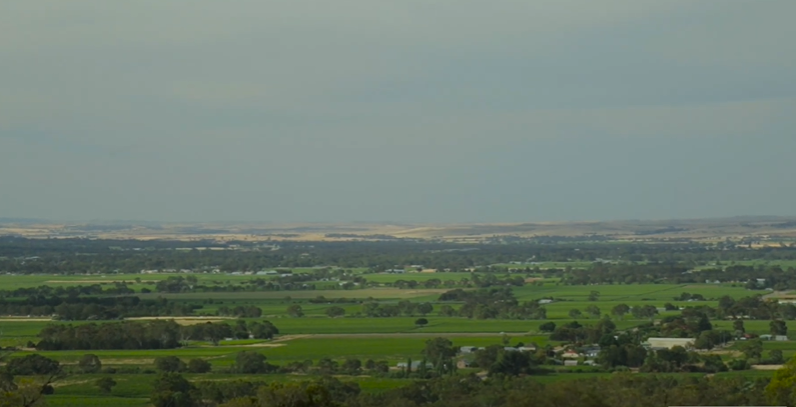 Barossa Valley