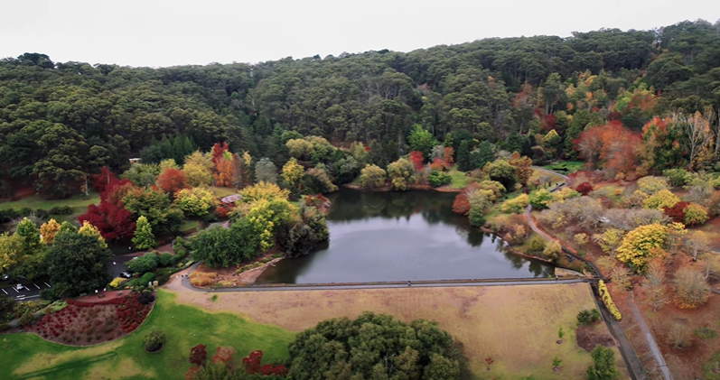 Mount Lofty Botanic Garden