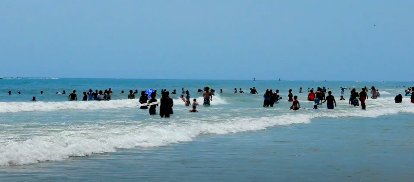 Assateague island Virginia