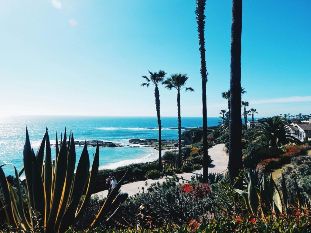 Venice beach