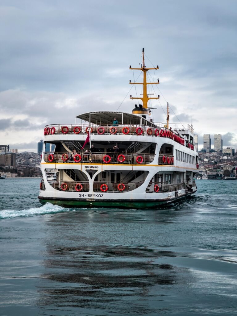 Bosphorus Cruise